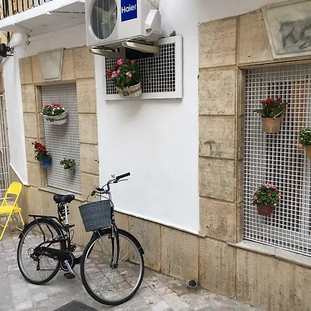 Pensión Cortina Del Muelle 21 Málaga